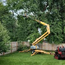 Best Landscape Design and Installation  in Window Rock, AZ